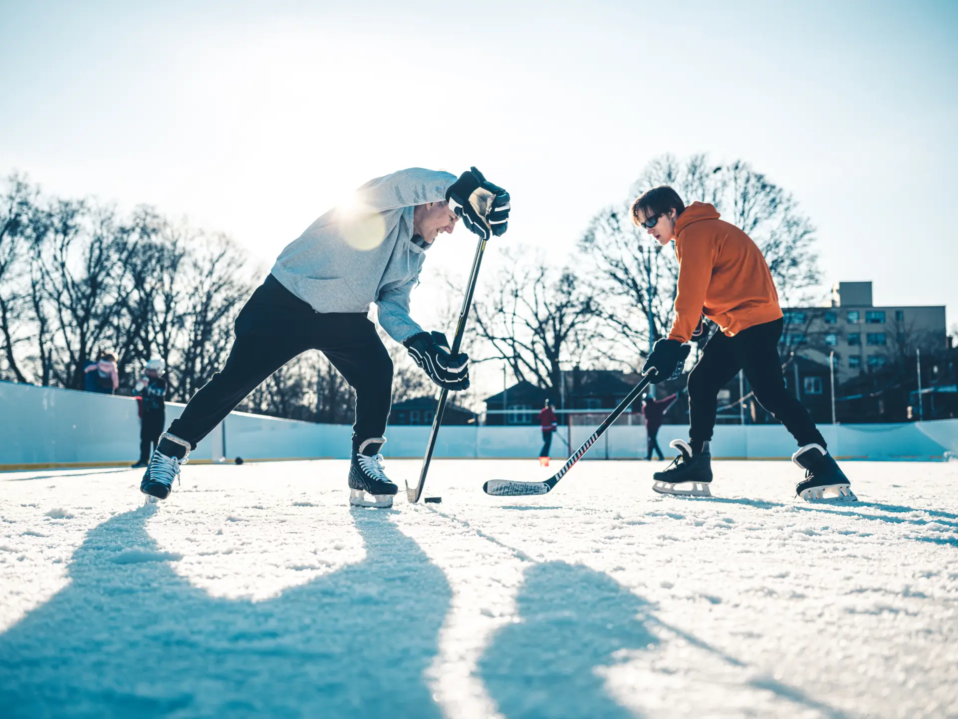 Des joueurs de hockey